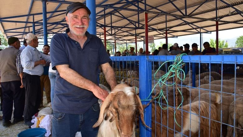 Sındırgı Hayvan Pazarı’nda Yoğunluk Yaşandı 