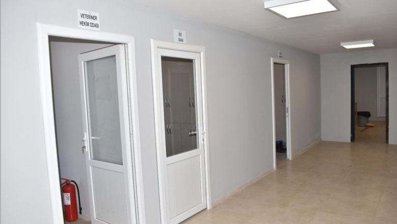 Büyükşehir dokunuşuyla Edremit’teki can dostlara sıcak yuva