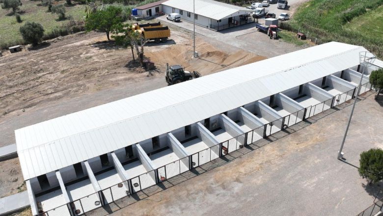 Büyükşehir dokunuşuyla Edremit’teki can dostlara sıcak yuva