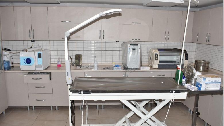 Büyükşehir dokunuşuyla Edremit’teki can dostlara sıcak yuva