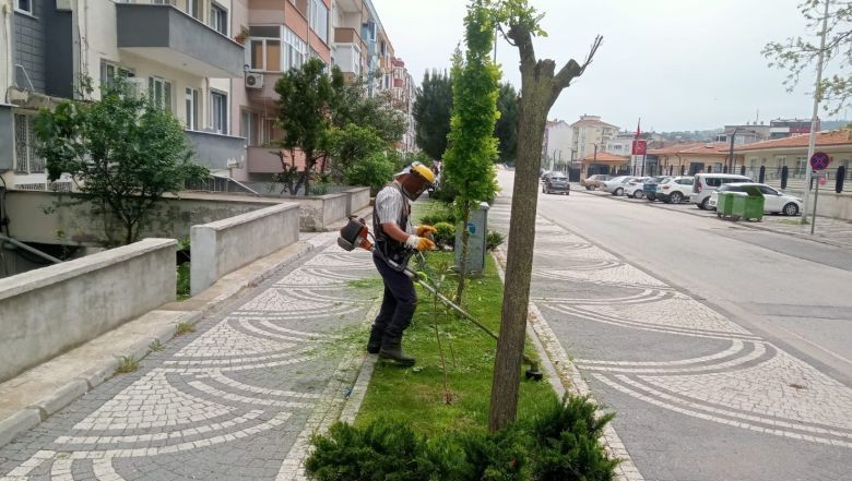 Balıkesir Susurluk Belediyesi yaza hazırlanıyor . Susurluk Belediye Başkanı Nurettin Güney'in talimatıyla Susurluk'ta şehir düzenlemesi yapıldı. Park ve Bahçeler Müdürlüğü ekipleri çevreyi yeniden düzenledi.