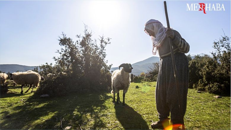 Balıkesir’de Bu Ürünler: Coğrafi İşaret Alacak