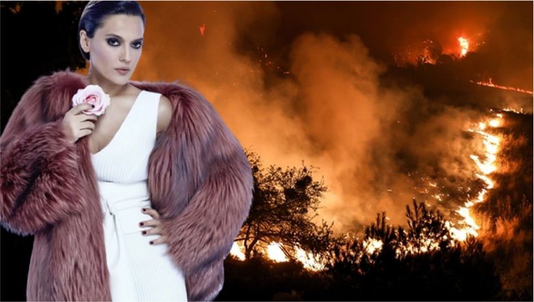Demet Akalın'ın Çanakkale Yangını Paylaşımı Gündem Oldu