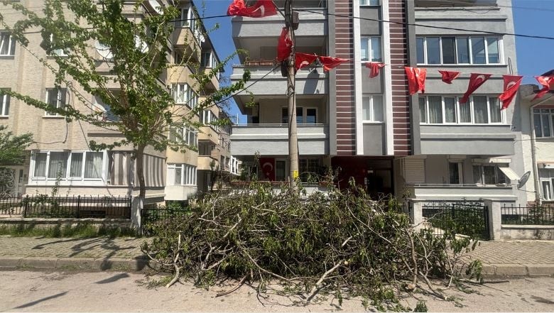 Yazın Gelişiyle Balıkesir’de Ağaçlar Budanıyor