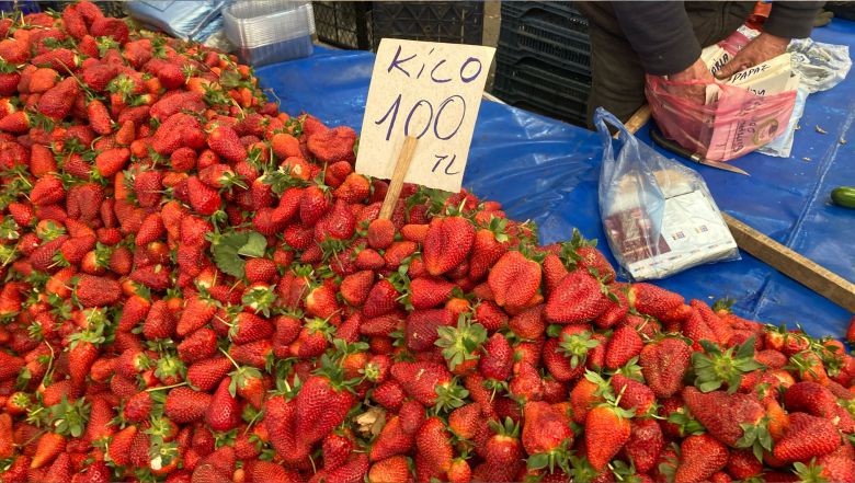 Balıkesir’de Çilek Sezonu Başladı