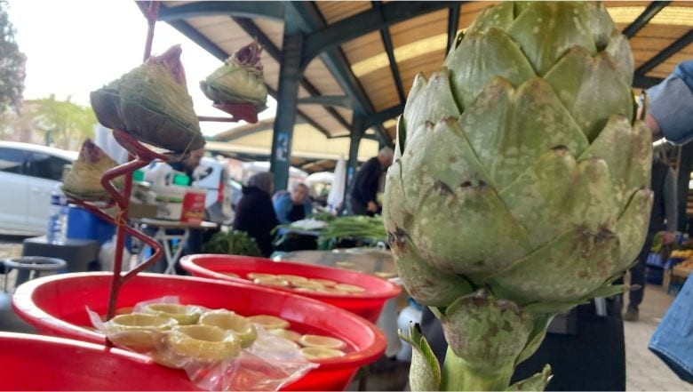 Balıkesir Pazarında Enginar Tezgahlarda