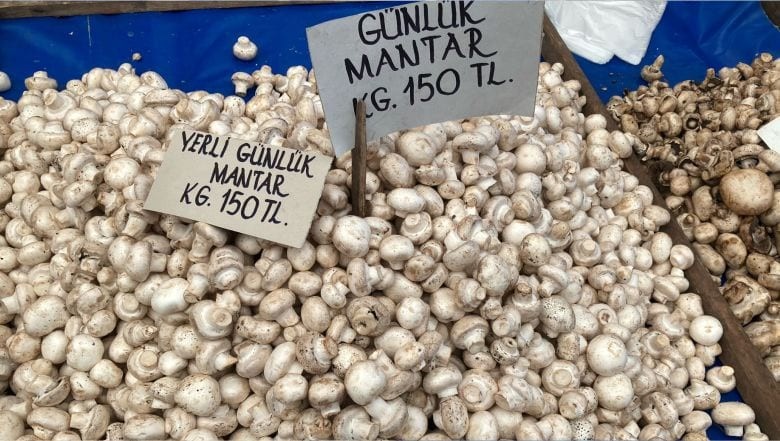Balıkesir Pazarı'nda Mantar Fiyatları