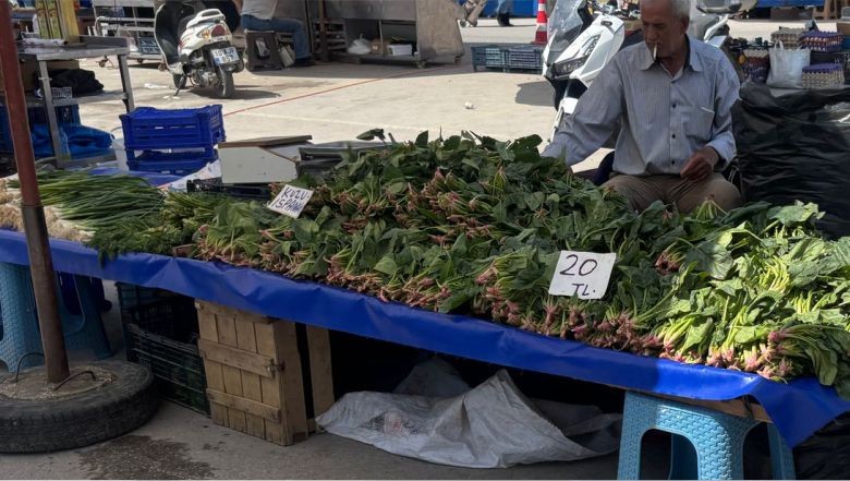 Cumartesi Pazarı’nda Sebze Fiyatları: Ispanak 20 TL, Fasulye 100 TL!