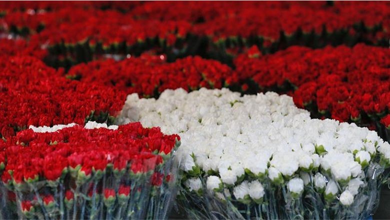Karanfil: Baharatın Ötesinde Bir Şifa Deposu