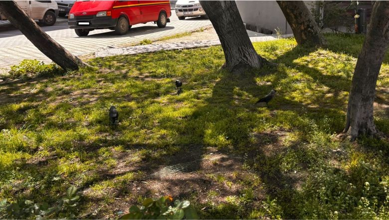 Balıkesir'de “Atışmalar” Başladı