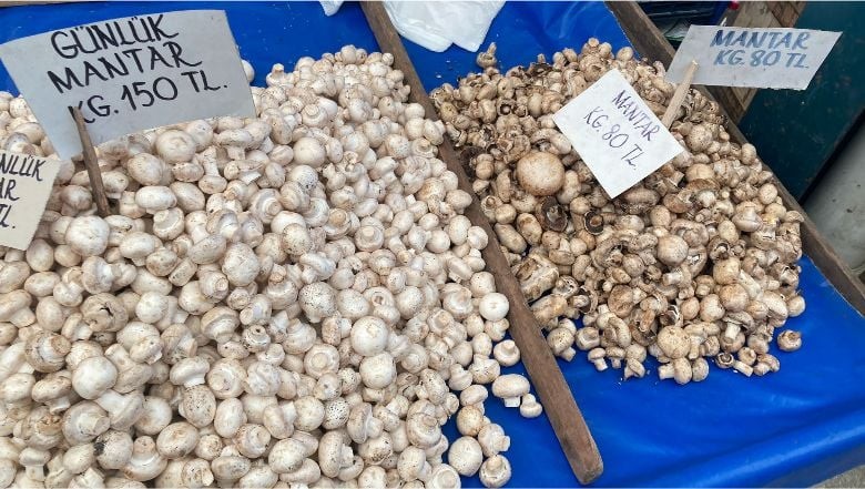 Balıkesir Pazarı'nda Mantar Fiyatları