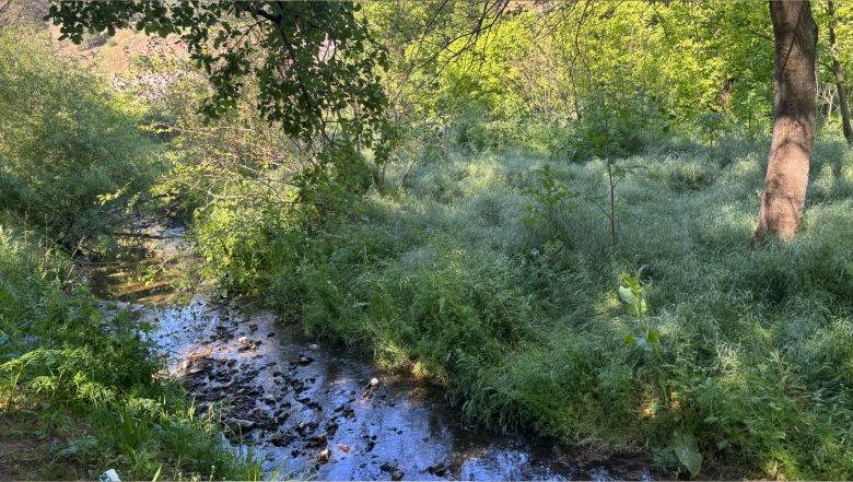 Balıkesir’de Bahar Pikniği Coşkusu