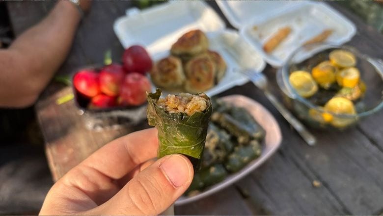 Vişne ve Dut Yaprağından Sarma Yapımı