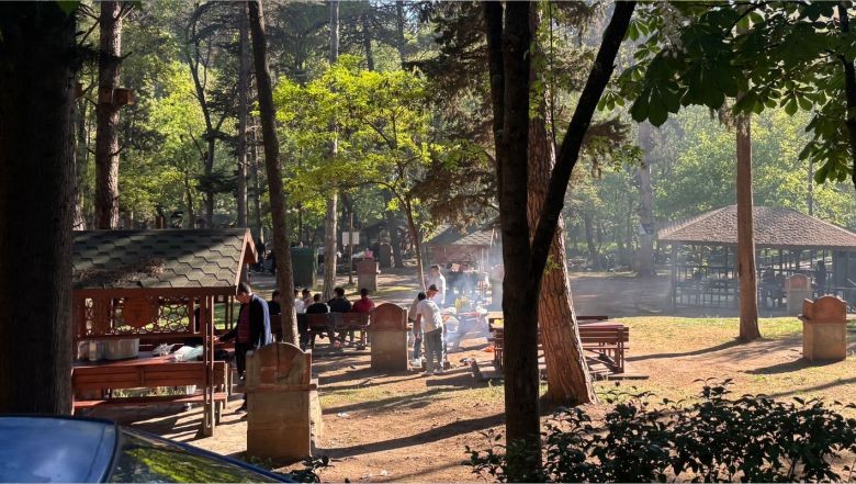 Balıkesir'de Değirmen Boğazı Mesire Alanı Tıklım Tıklım