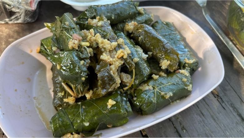 Vişne ve Dut Yaprağından Sarma Yapımı