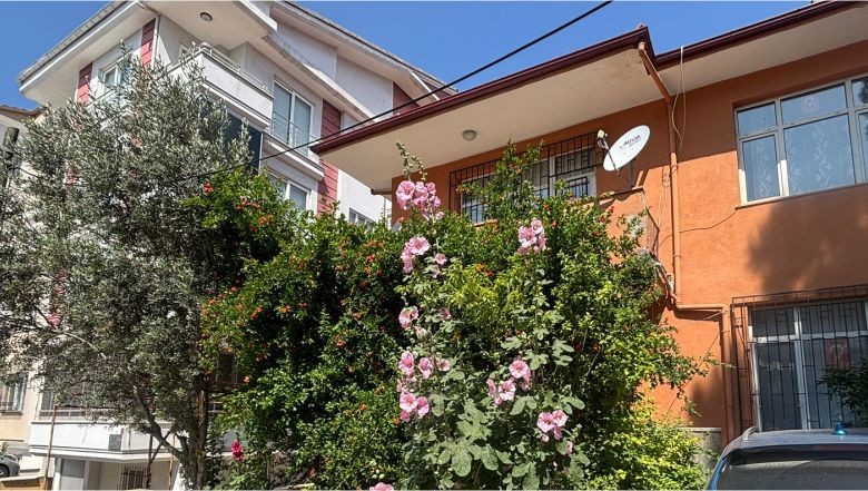 Balıkesir Sokakları Gülhatmi çiçekleri Ile Doldu