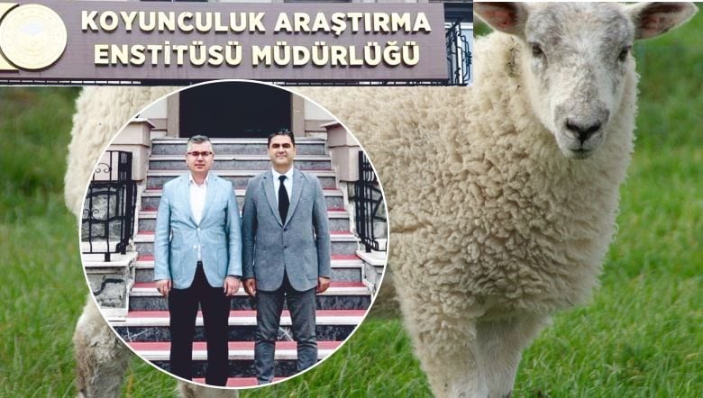 Araştırma Enstitüsünde Sürdürülebilirlik Vurgusu Araştırma Enstitüsünde Sürdürülebilirlik Vurgusu