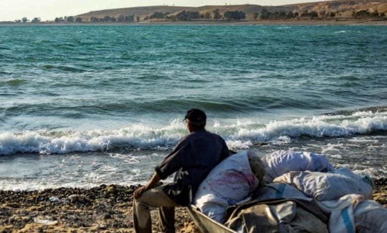 Tezgahlar Lüfer Balığı Kokuyor: Balıkesir-Tekirdağ