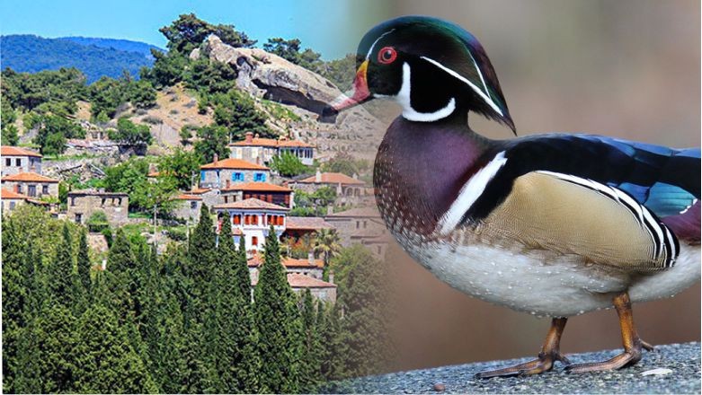Balıkesir'in İlginç Köy İsimleri