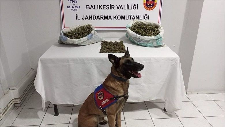 Uyuşturucu Kaçakçılığına Son! Yakayı Ele Verdi