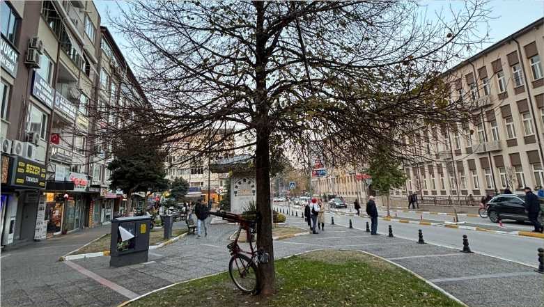 Balıkesir’de Ağaca Dikey Bağlanan Bisiklet Gülümsetti