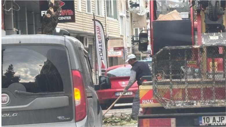 Balıkesir’de Yol Kapatılarak Ağaçların Tüm Dalları Kesildi