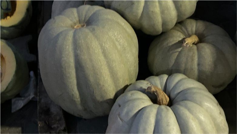 Pazarın Gözdesi Bal Kabağı Ön Planda