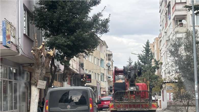 Balıkesir’de Yol Kapatılarak Ağaçların Tüm Dalları Kesildi