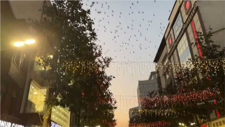 Kuşların Göçü Vatandaşları Heyecanlandırdı