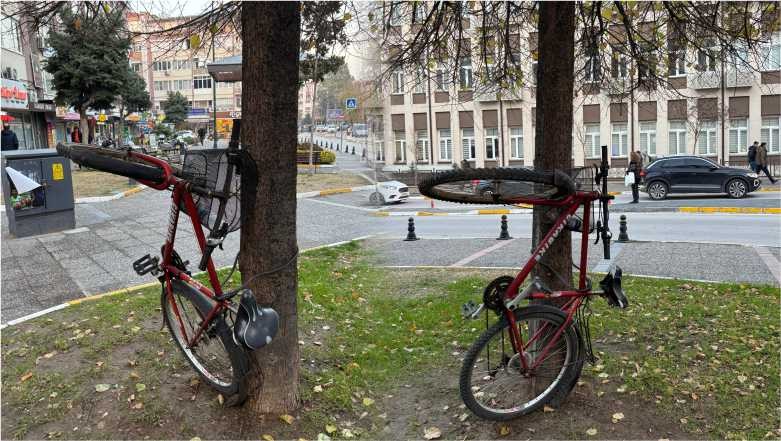 Balıkesir’de Ağaca Dikey Bağlanan Bisiklet Gülümsetti