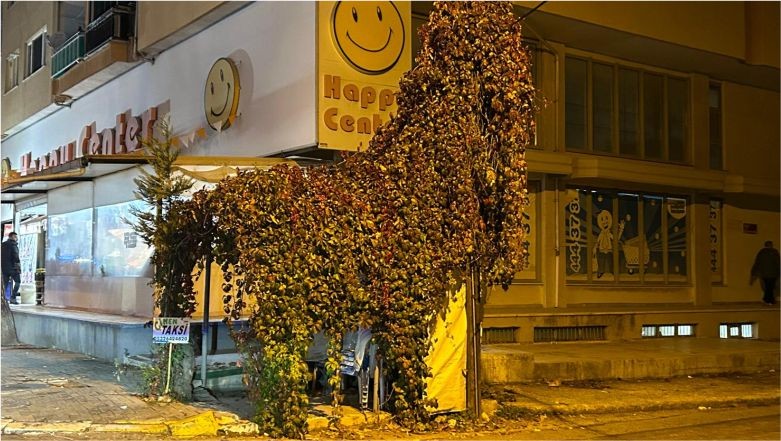 Sarmaşıklarla Kaplı Taksi Durağı İlgi Çekiyor