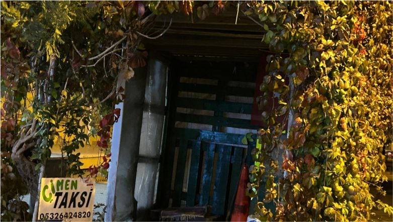 Sarmaşıklarla Kaplı Taksi Durağı İlgi Çekiyor