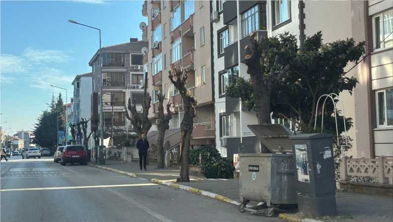 Balıkesir’de Ağaç Budama Çalışmaları Devam Ediyor