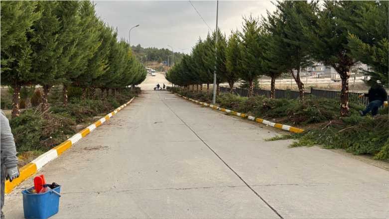 Balıkesir Üniversitesi’nde Ağaç Budama Çalışması Gerçekleştirildi