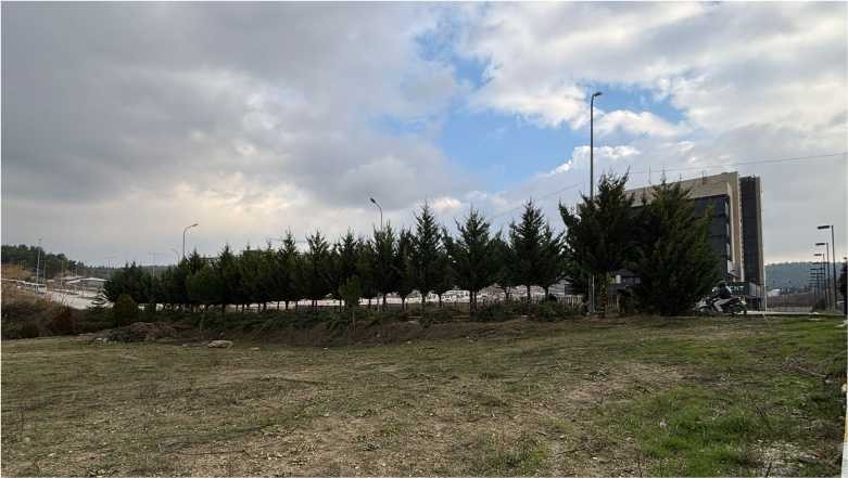 Balıkesir Üniversitesi’nde Ağaç Budama Çalışması Gerçekleştirildi