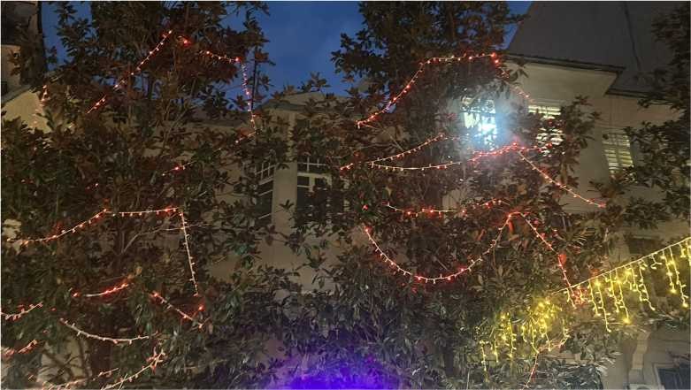 Balıkesir Yılbaşını Süslü Ağaçların kuşları ile Bekliyor