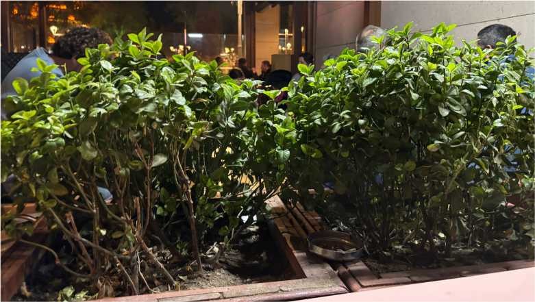 ONON'da Kabuklu Yemiş Yemek Yasaklandı Iddiası