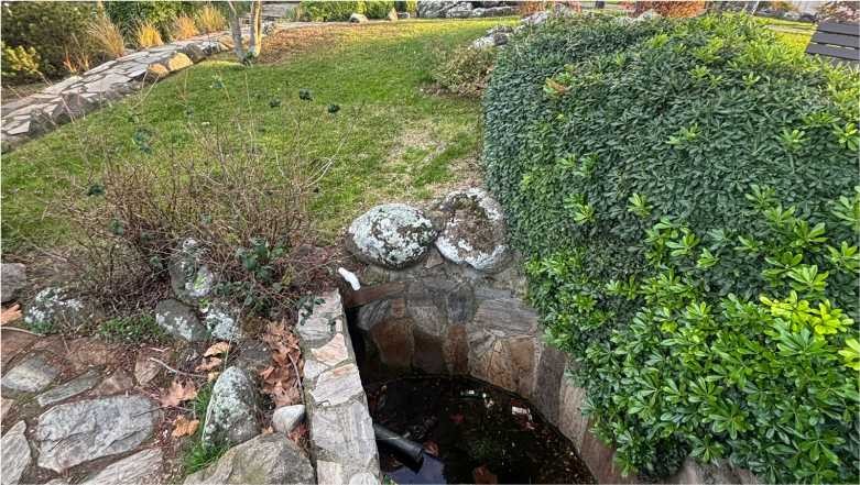 Atatürk Parkı'nda Gizli Tehlike