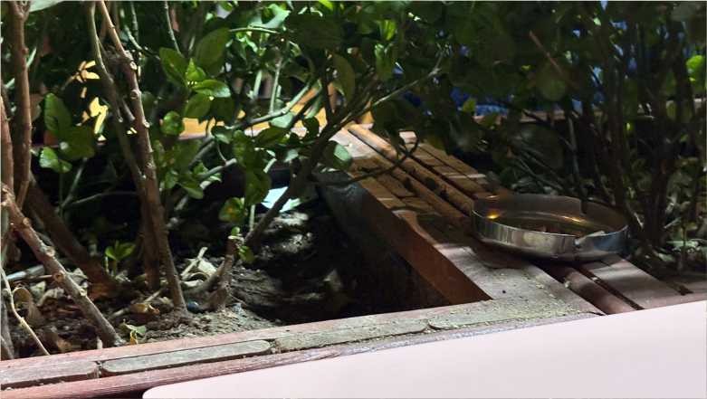 ONON'da Kabuklu Yemiş Yemek Yasaklandı Iddiası