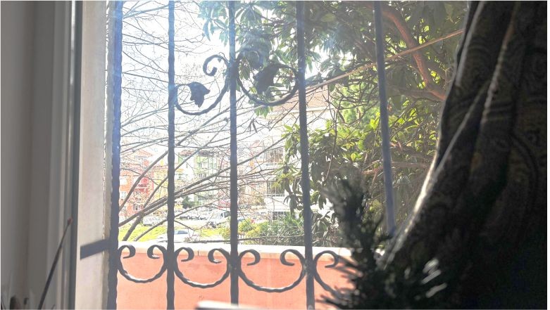 Balıkesir’de Güneşli Hava Halkı Dışarıya Çekti!