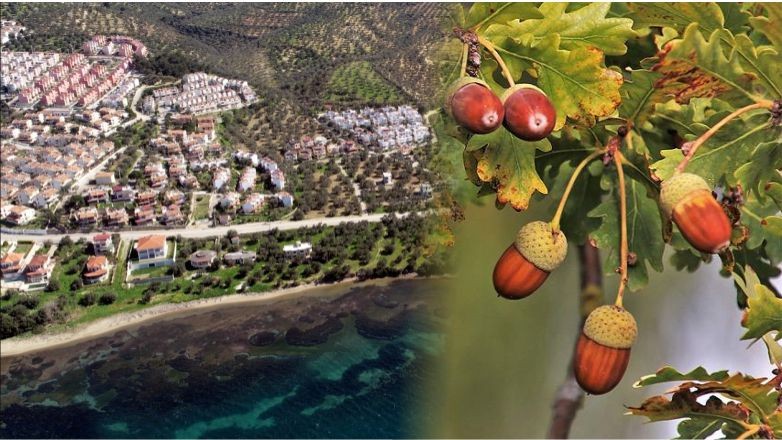 Balıkesir'in İlginç Köy İsimleri