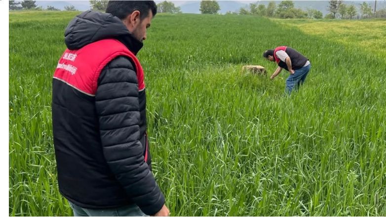 Kuraklığa Çözüm: Taner ve Selçuklu
