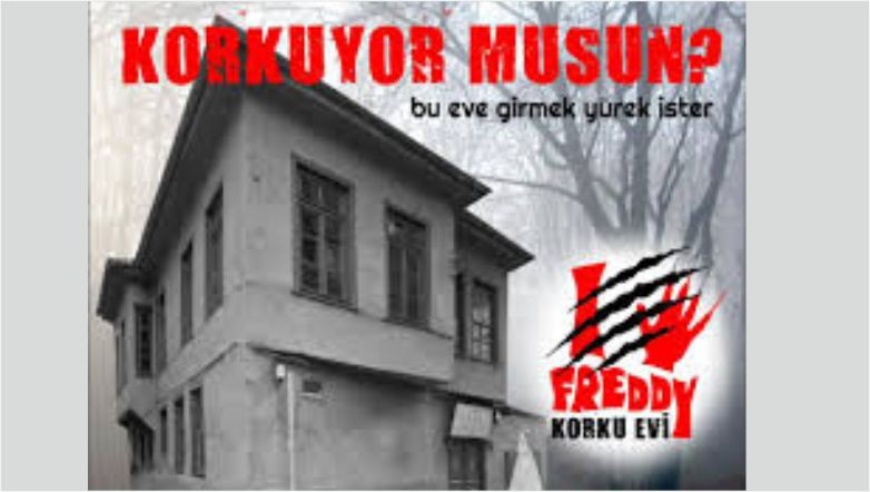 Balıkesir’de Bu Evlere Giren Çığlık Çığlığa Çıkıyor