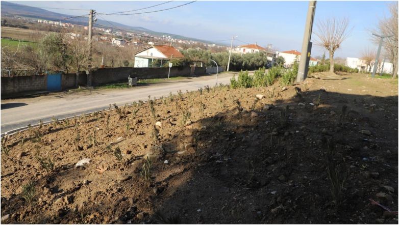 Gönen’in Kavşakları ve Refüjleri Renkleniyor