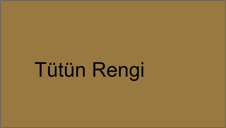 Sonbahar Modasının Renk Paleti