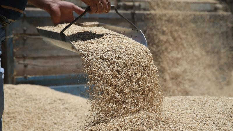 Emek Yem Artık Adana’da  Balıkesirli Firma Üretim Ağına Yeni Bir Halka Ekledi Balıkesir Ticaret Odası Başkanı Rahmi Kula, Balıkesir’in köklü firmalarından Emek Yem’in Adana’da yeni bir fabrika açtığını duyurdu. Böylece Emek Yem, Balıkesir, İzmir ve Afyonkarahisar’ın ardından üretim ağını Adana ile genişletti. “Allah mahcup etmesin” diyerek açıklama yapan Rahmi Kula, “Daha fazla çiftçiye, daha geniş coğrafyada, aynı emekle ulaşıyoruz. Çünkü biliyoruz ki kaliteli üretim emek ister.” dedi. Yeni adres: Hacı Sabancı OSB, Abdullah Gül Bulvarı No:24, Sarıçam / ADANA Diğer Üretim Tesisleri: Balıkesir / Gümüşçeşme Mah. İzmir / Bornova Afyonkarahisar / Merkez Emek Yem, yem sektöründe uzun yıllara dayanan deneyimiyle çiftçilerin güvenini kazanmaya devam ediyor. 
