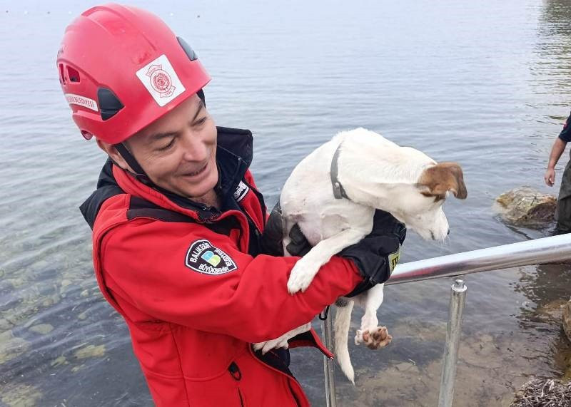 Balıkesir’de Köpek Kurtarma Anları! İtfaiye Böyle Kurtardı - 3. resim