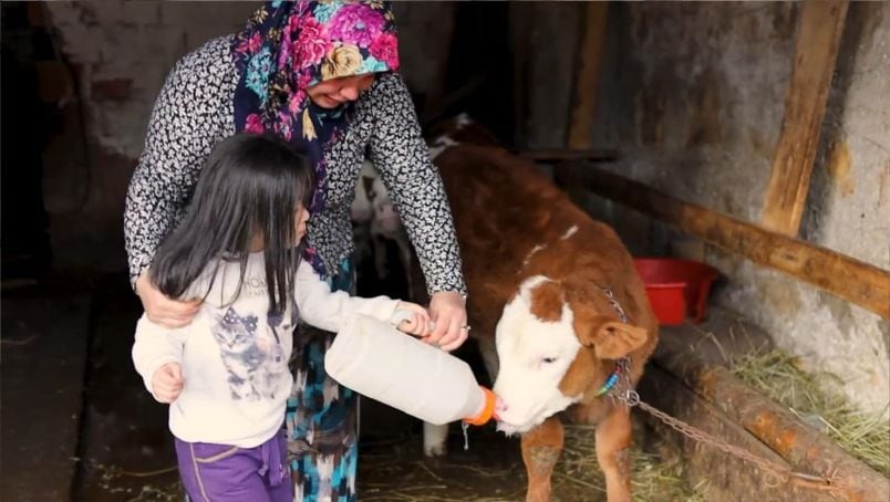 Sütçülük Hâlâ Kazandırıyor mu