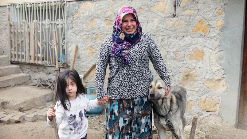Sütçülük Hâlâ Kazandırıyor mu