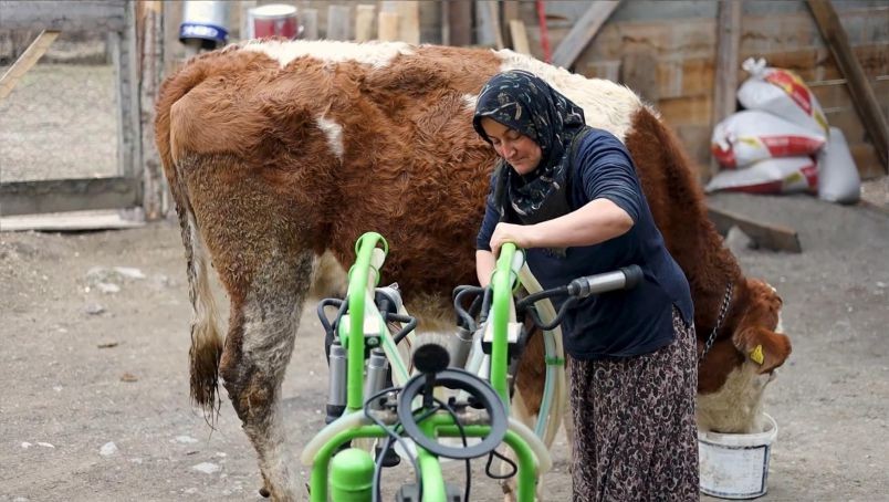 Sütçülük Hâlâ Kazandırıyor mu